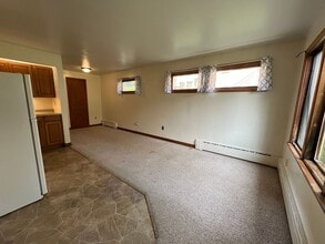 1702 E 2nd St in Duluth, MN - Building Photo - Building Photo