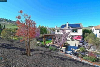 829 Deer Spring Cir in Concord, CA - Building Photo - Building Photo