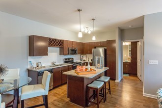 Hunter's Point in Chattanooga, TN - Building Photo - Interior Photo