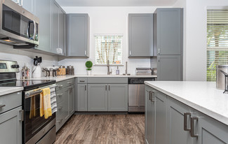 The Addison At Universal Boulevard Apartments
