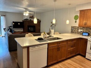 738 Lagoon Dr in Frisco, CO - Building Photo - Building Photo