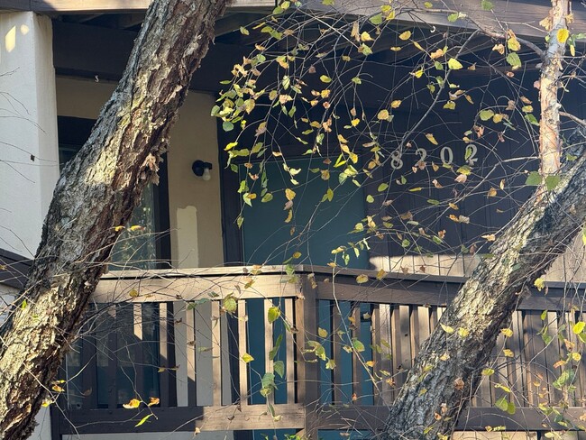 property at 8202 Cedar Glen Dr