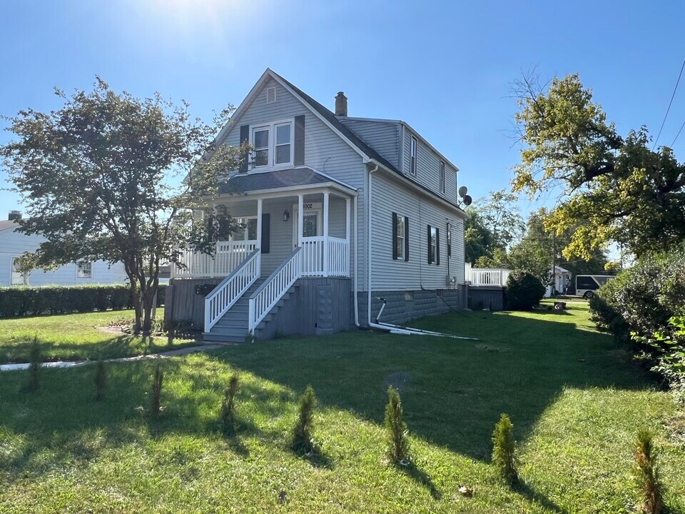 3002 Green St in Steger, IL - Building Photo