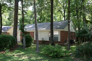 39 S White Pebble Ct in Spring, TX - Building Photo
