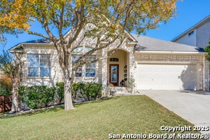 property at 915 Treaty Oak