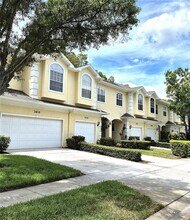 3438 Primrose Way in Palm Harbor, FL - Building Photo - Building Photo