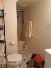 250 Ridge Ave, Unit 4 in State College, PA - Building Photo - Building Photo