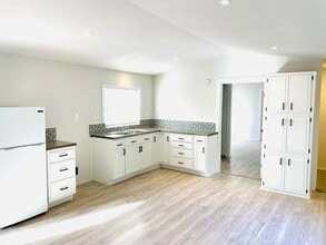 1009 Pine Eagle Ln in San Antonio, TX - Foto de edificio - Building Photo