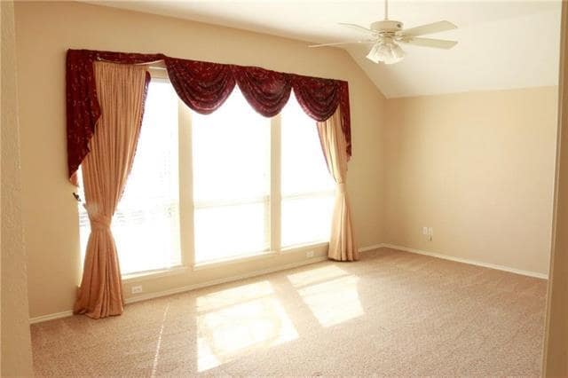 1311 Lighthouse Ln in Allen, TX - Building Photo - Building Photo