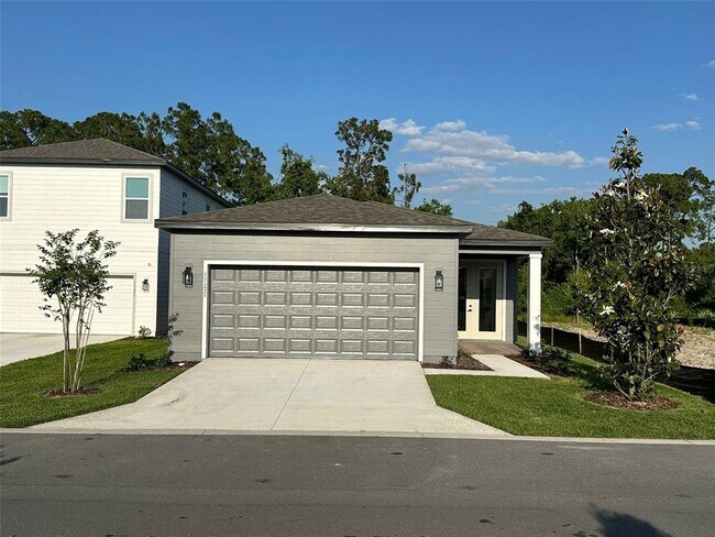 property at 11177 Green Citron Aly