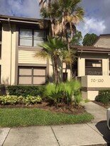 70 Woodlake Pl in Oldsmar, FL - Building Photo