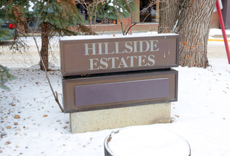 Hillside Estates in Edmonton, AB - Building Photo - Building Photo