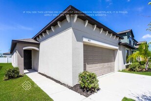 4115 Globe Thistle Dr in Tampa, FL - Building Photo