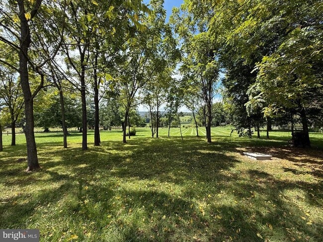 15543 Edgegrove Rd in Purcellville, VA - Building Photo - Building Photo