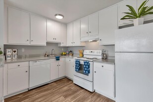 Hamilton Apartments in San Jose, CA - Building Photo