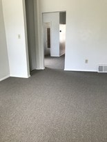 4119 Carter Ave, Unit 4119 West Carter in St. Louis, MO - Building Photo