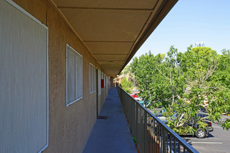 Regency Place in Las Vegas, NV - Building Photo - Building Photo