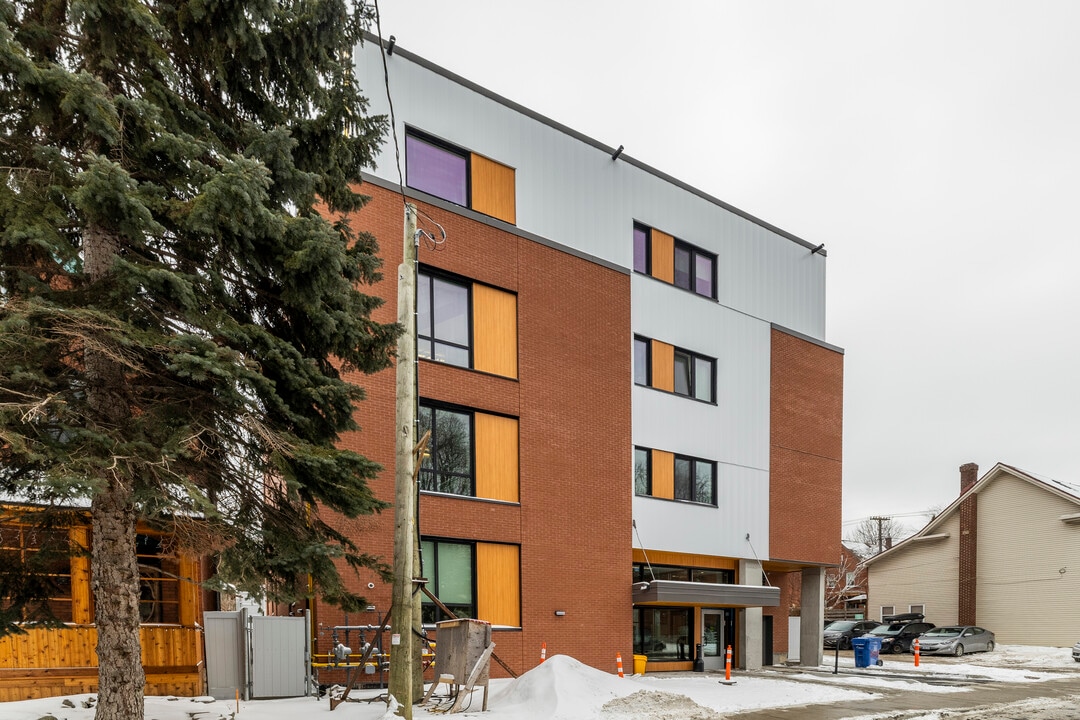 494 Lisgar St in Ottawa, ON - Building Photo