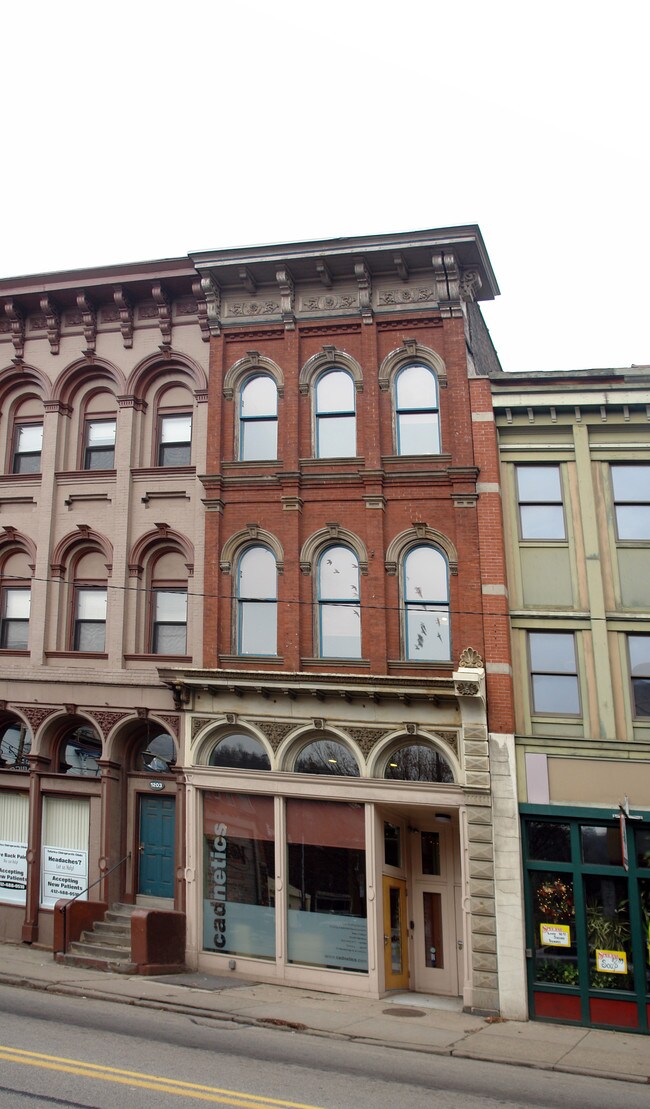 1205 E Carson St in Pittsburgh, PA - Building Photo - Building Photo