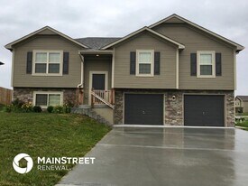 19108 Switchgrass Dr in Smithville, MO - Building Photo