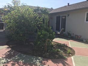 749 Teresi Ct in San Jose, CA - Building Photo - Other