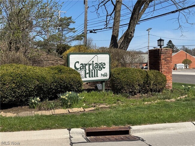 6910 Carriage Hill Dr in Brecksville, OH - Building Photo - Building Photo