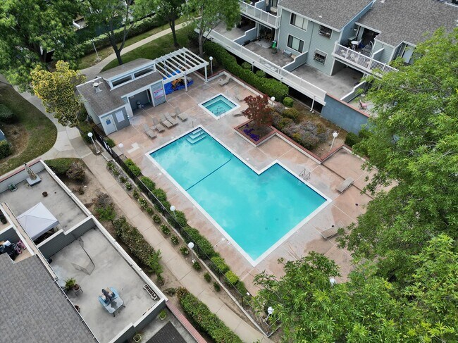 3402 Pinewood Terrace, Unit 211 in Fremont, CA - Building Photo - Building Photo