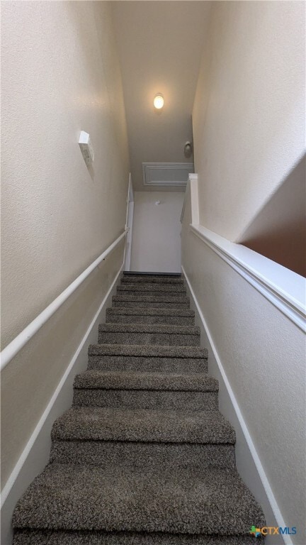 821 Sagewood Trail in San Marcos, TX - Building Photo - Building Photo