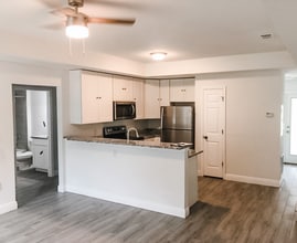 440 Dora Ave in Tavares, FL - Building Photo - Building Photo