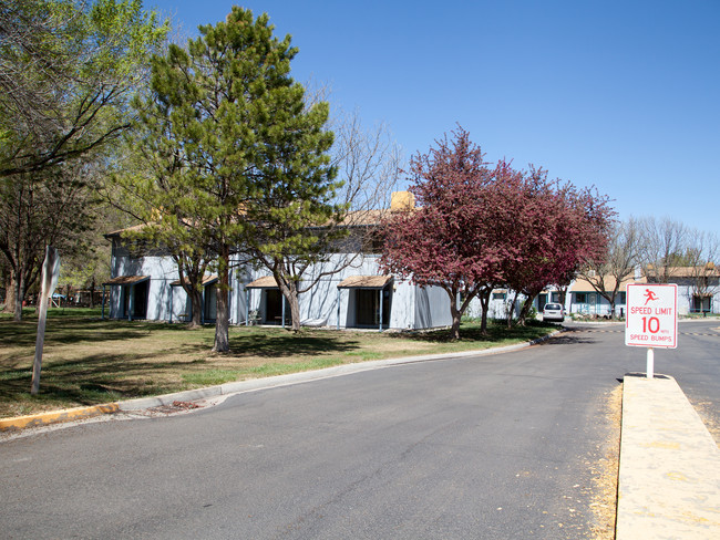 Clifton Townhomes in Clifton, CO - Building Photo - Building Photo