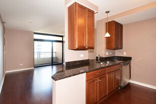 1160 S Michigan Ave, Unit 2906 in Chicago, IL - Building Photo