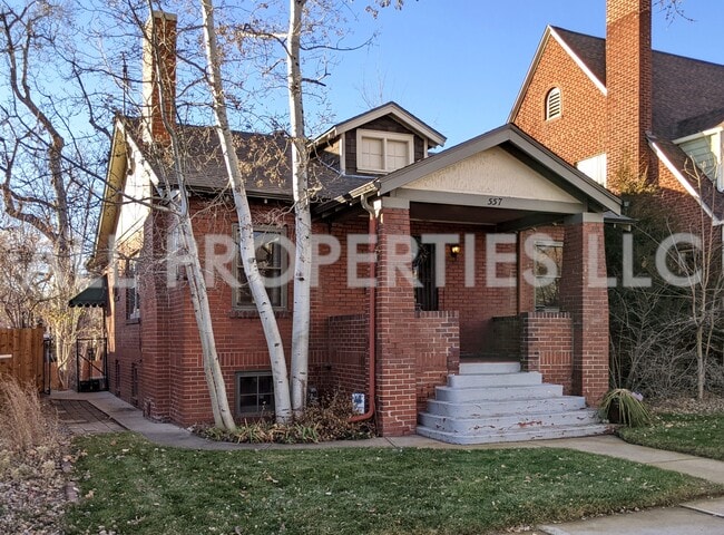 557 S Race St in Denver, CO - Building Photo - Building Photo