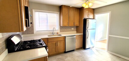 7252 W Crain St in Niles, IL - Building Photo - Building Photo