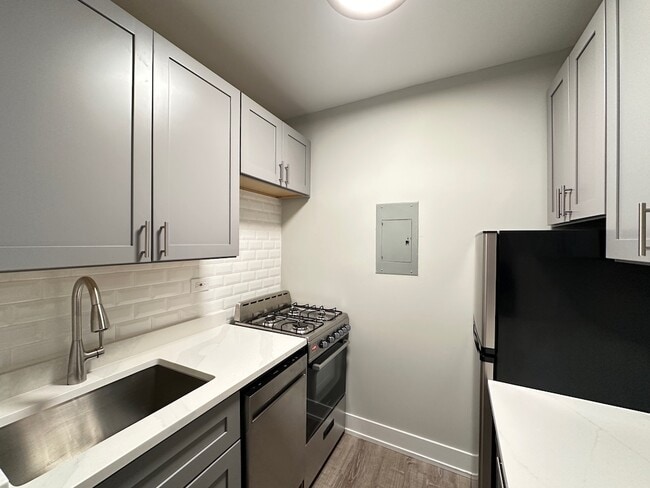 510 W Belmont Ave in Chicago, IL - Building Photo - Building Photo