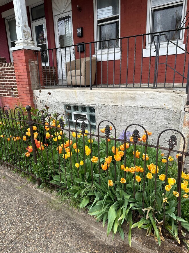 4622 Tacony St in Philadelphia, PA - Building Photo - Building Photo