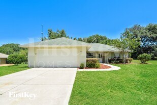207 Shannon Ln in Lady Lake, FL - Building Photo