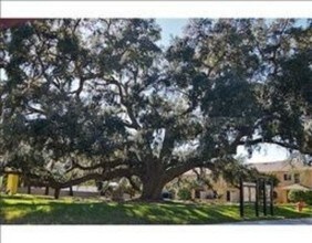 5309 Aloha Seed Dr in Seffner, FL - Building Photo - Building Photo