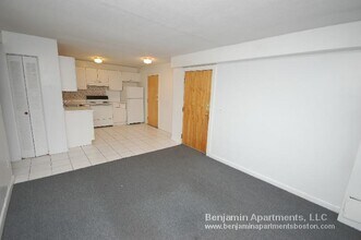 226 Parker Hill Ave, Unit 1 in Boston, MA - Building Photo - Building Photo