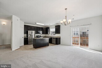 24682 Lynette Spgs Ter in Aldie, VA - Building Photo - Building Photo
