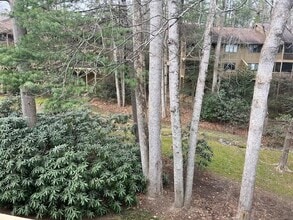 603 Red Oak Dr in Hendersonville, NC - Building Photo - Building Photo