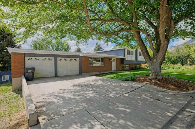 755 N 1020 E in Pleasant Grove, UT - Building Photo - Building Photo