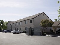 Shadetree South Apartments