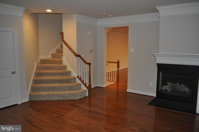 346 White Ash Pl