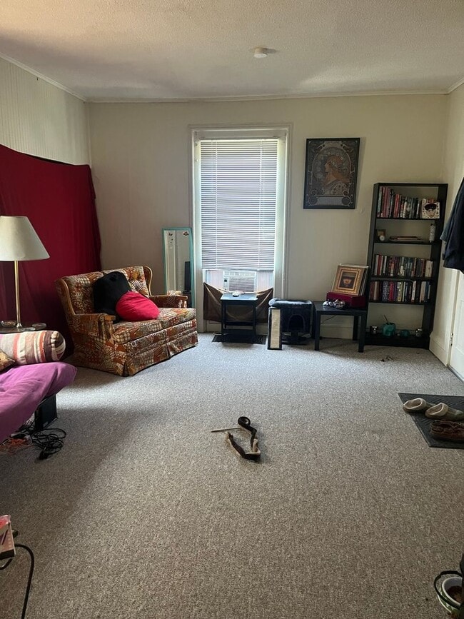 412 N Linn St in Iowa City, IA - Building Photo - Building Photo