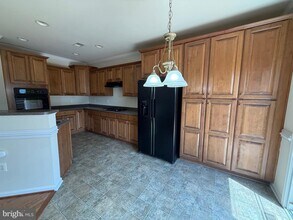 1125 Hampton St in Fredericksburg, VA - Building Photo - Building Photo