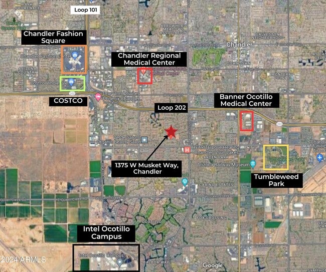 1375 W Musket Way in Chandler, AZ - Building Photo - Building Photo