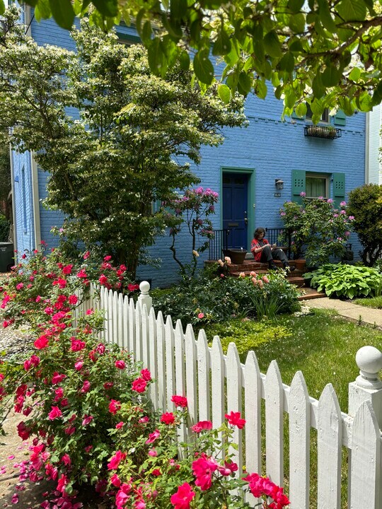 4514 Albemarle St NW, Unit 1 in Washington, DC - Building Photo