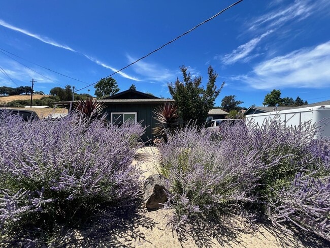property at 841 Foster Rd
