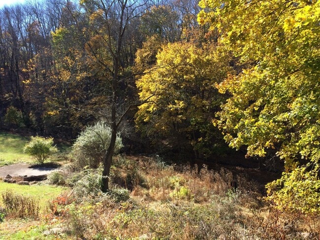 9042 Easton Rd in Ottsville, PA - Building Photo - Building Photo