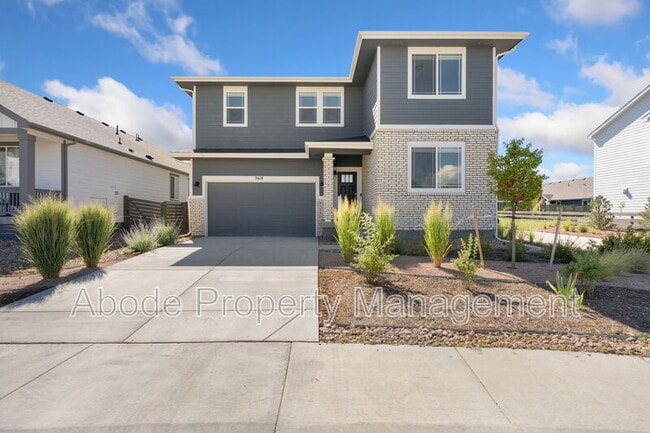 2418 Cottongrass Ave in Loveland, CO - Foto de edificio - Building Photo